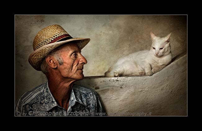 The old man and his cat